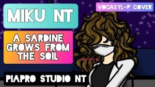 [MIKU NT] A sardine grows from the soil -                  「PIAPRO STUDIO NTカバー」 screenshot 4