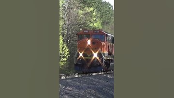 BNSF SD60M Leads a Fast Freight Train w/SD40-2 & CN Gevo! #shorts