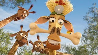 DreamWorks Madagascar en Español Latino | Médico Brujo Melman - Madagascar 2 | Dibujos Animados