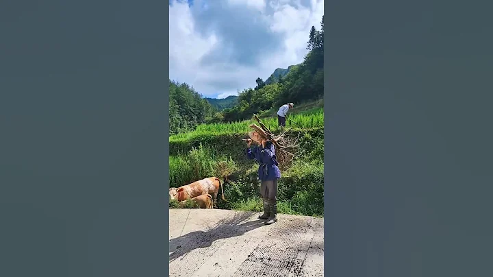 行走萬里，方知家鄉最美，看盡繁華，才知簡單最真，人心無常，心安便是歸處 - 天天要聞