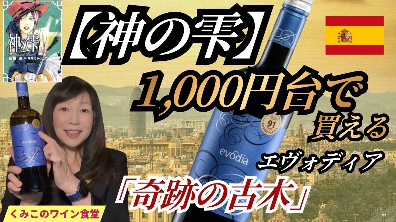 【神の雫】100ドルの価値あり！？1,000円台で買える「奇跡の古木」エヴォディア【くみこのワイン食堂】