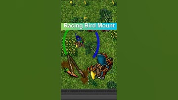 Tibia Racing Bird Mount Tame Item Carrot ON A Stick Port Hope  #tibia #tibia2025 #tibiamount
