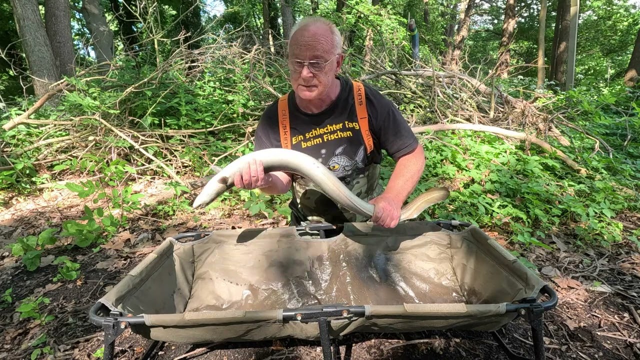 Aal Angeln in der Brandenburger Tiefsee