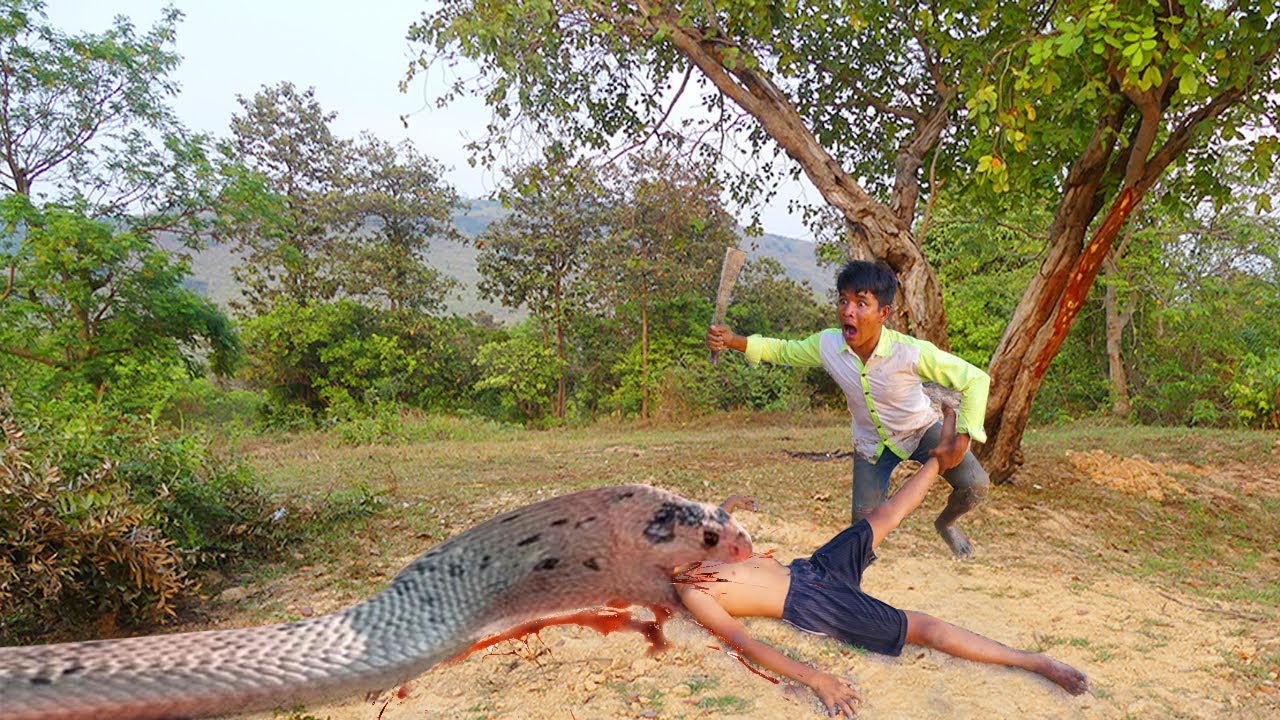 Easy Snake Trap - Amazing Deep Hole Underground Python Trap Using Board And PVC Work 100%