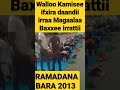 Hikkaa Soomana Bara 2013 Walloo Kamisee Magaalaa Baxxee Irrattii 