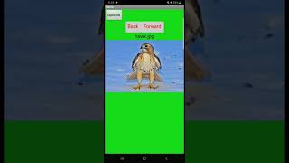 ImageBoard demo