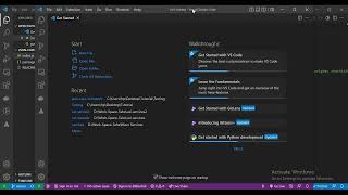 How to open multiple instances of Visual Studio Code for same github project