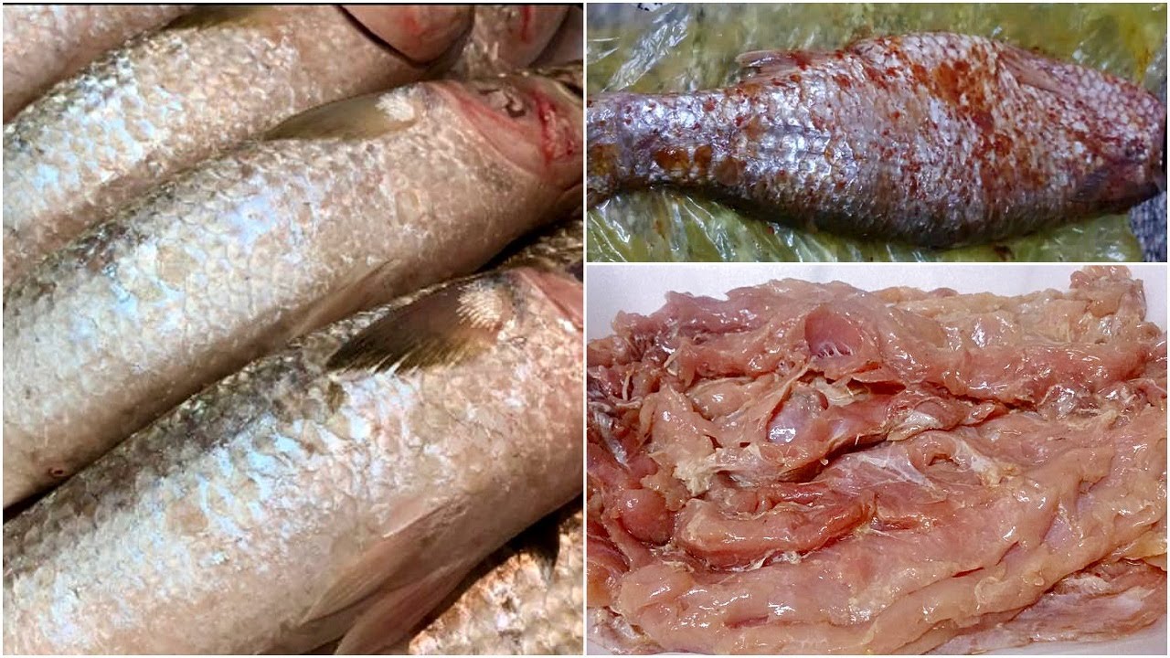 الفسيخ بطريقة صحيه وايه افضل نوع ملح للتمليح الفسيخ وإزاي نحفظ الفسيخ بعد تمليحة🐟🐟 الشيف هناء فهمي