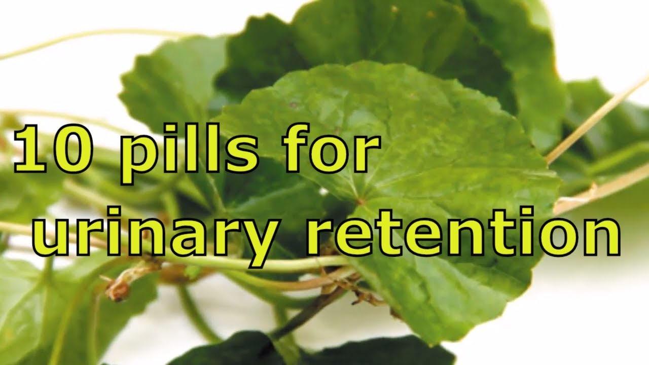 10 pills for urinary retention YouTube