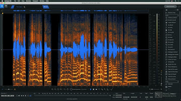 iZotope RX 9 101: iZotope RX 9 101 - RX 9 Video Manual - RX9  the DAW