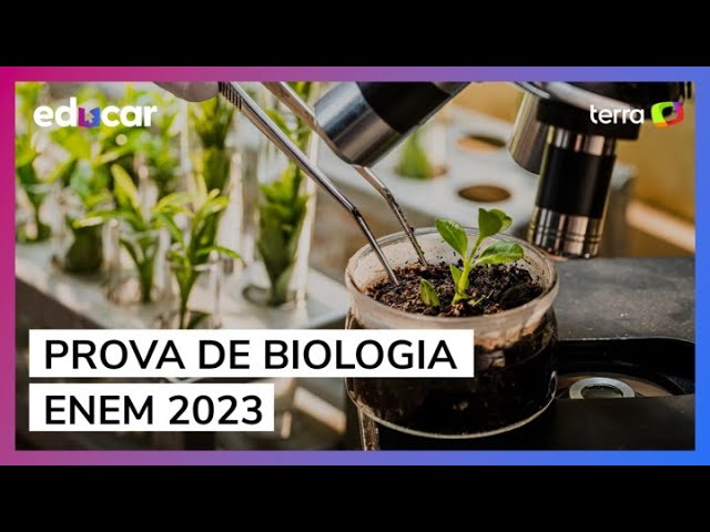 Enem 2023: Veja o gabarito oficial das provas objetivas - SBT News