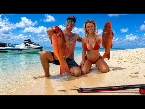 Spearfishing & Fishing in Tropical Paradise - Easiest Catch & Cook Ever