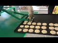 Испытание Полуавтоматическая Отсадочная машина для печенья