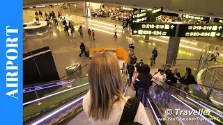 FLIGHT TRANSFER AT DOHA Airport (Hamad International Airport) - How to walk to a connection flight