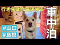 【ひとりと1匹】行き先は今日決める、行き当たりばったりの車中泊旅