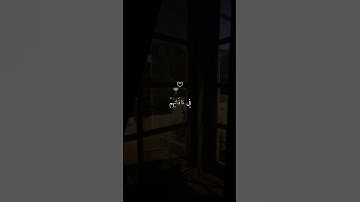 ماهر المعيقلي تلاوة خاشعة ومؤثرة ارح سمعك 🤍