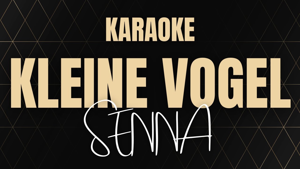 Kleine Vogel - Senna | Karaoke | Nederlandstalig | Tekst | Instrumentaal | Lyrics