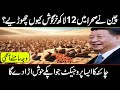 China Breeds 1,200,000 Rabbits in The Desert to Turn The Desert In Urdu And Hindi