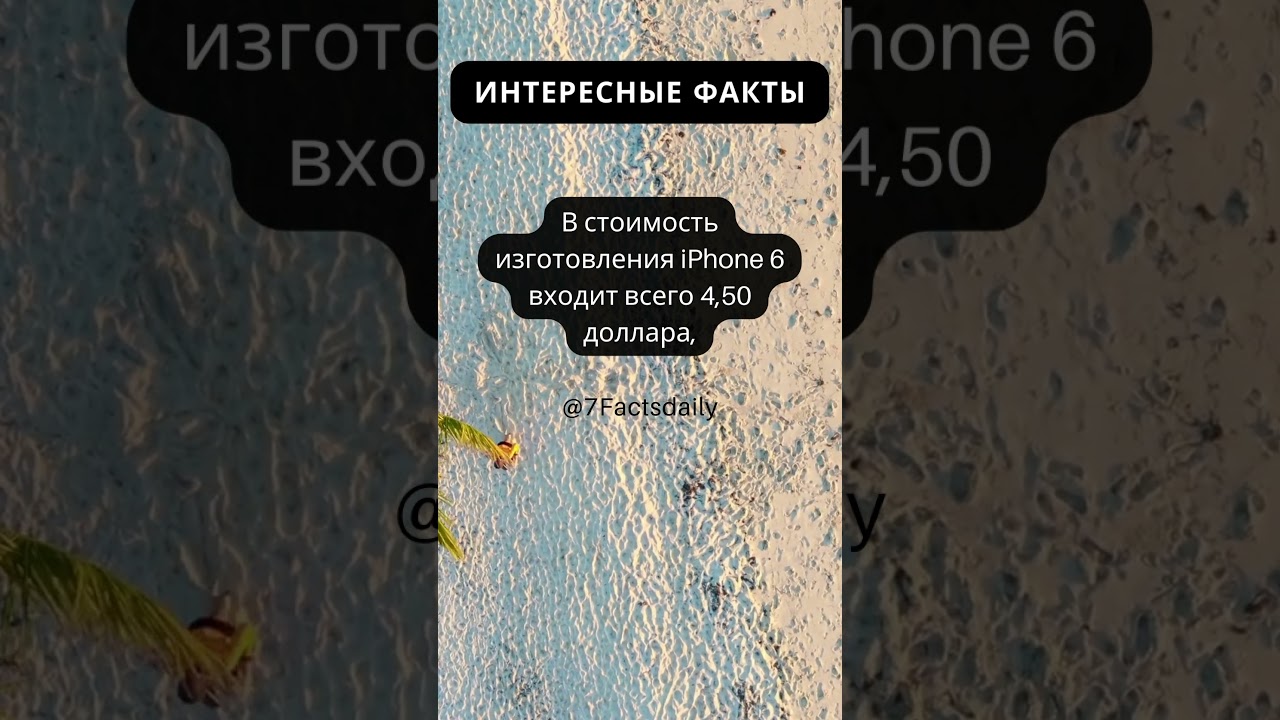 Интересные факты каждый день! 