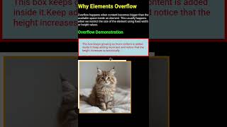 Why Your CSS Elements Overflow (The Real Reason Explained)