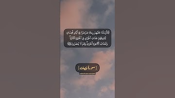 سورة فصلت الآية ١٦ الى ١٩ بصوت الشيخ محمد صديق المنشاوي