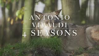 Vivaldi - 4 Seasons (full) | Вивальди - 4 сезона - Времена года (полностью)
