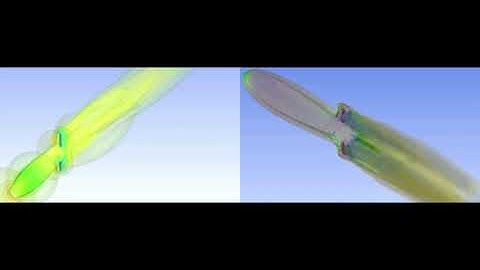 Swimming Fish Undulation CFD Simulation ANSYS Fluent (UDF in Description)