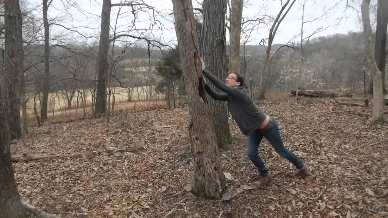 TREE TIPPING