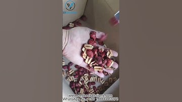 VERFOODSOLUTIONS Dry Dates Separator Slicer Machine Testing Before Delivering for Italian Customer