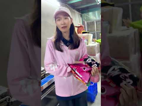 XẢ CHÉP KIM LONG MỚI CÓ GÌ HOT | VIETNAM FISHING TV #shorts