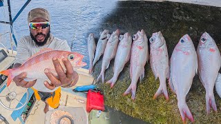 Catching The Best Deep Sea Fish | Offshore Deep Drop Fishing For Red Fish