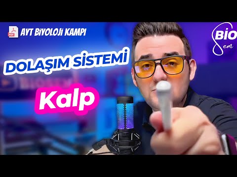 Dolaşım Sistemi-1 Kalp | Ayt Biyoloji Konu Anlatımı 11. Sınıf | 2024