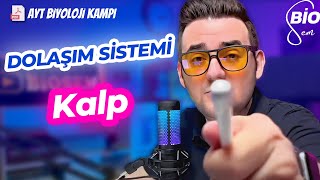 Dolaşım Sistemi-1 Kalp | Ayt Biyoloji Konu Anlatımı 11. Sınıf | 2024