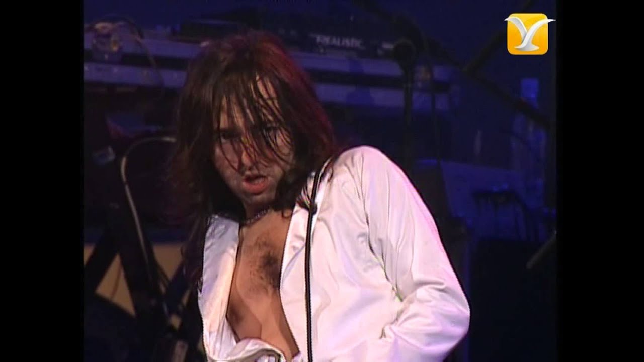 Babasónicos, Sin Mi Diablo, Festival de Viña 2005