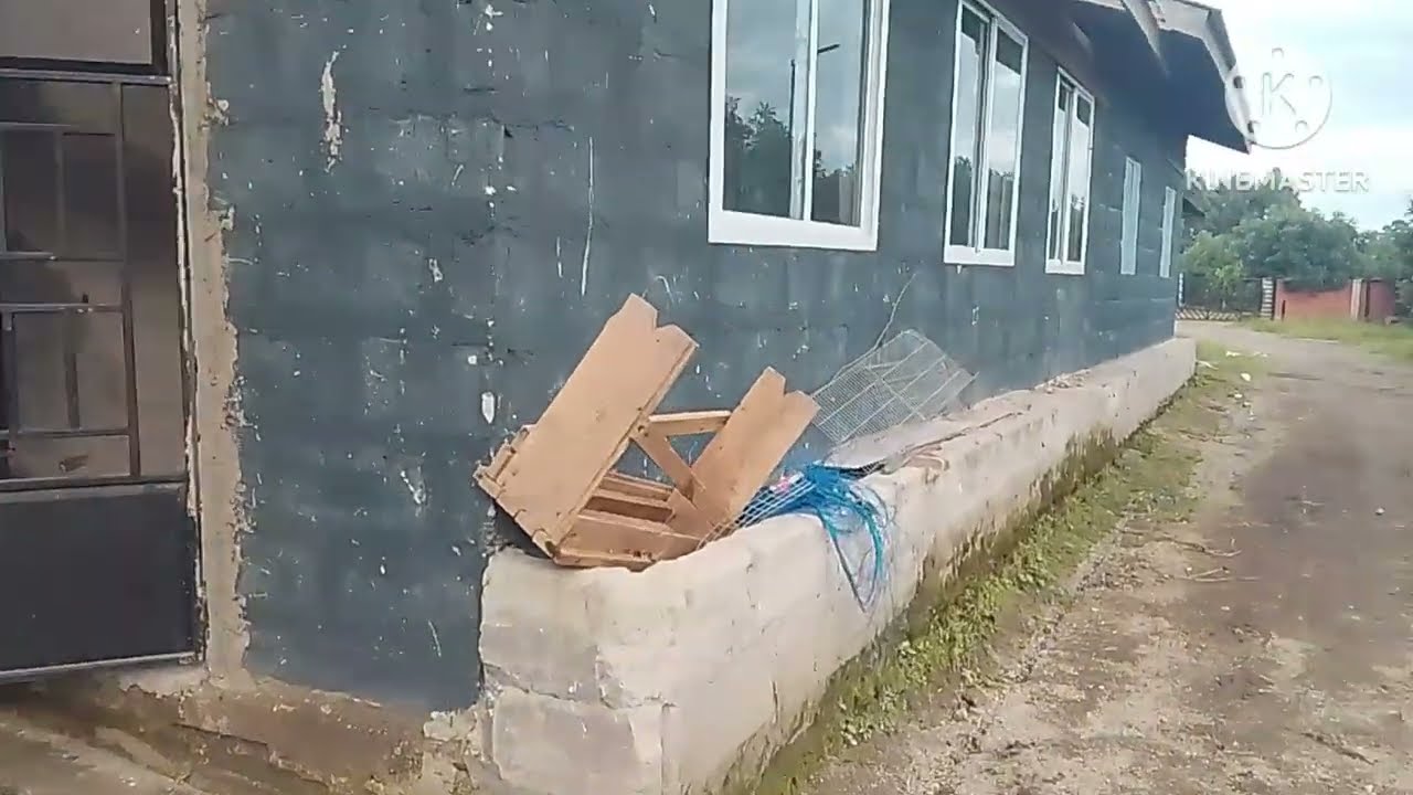 AMAZING!! African Chicken 🐔 Farm made kalongo richest man in EAST -AFRICA . Am lwijisyo 