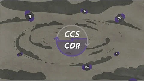 Carbon Dioxide Removal vs. Carbon Capture and Storage