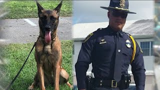 Investigators reveal what led to Cocoa police dog's death