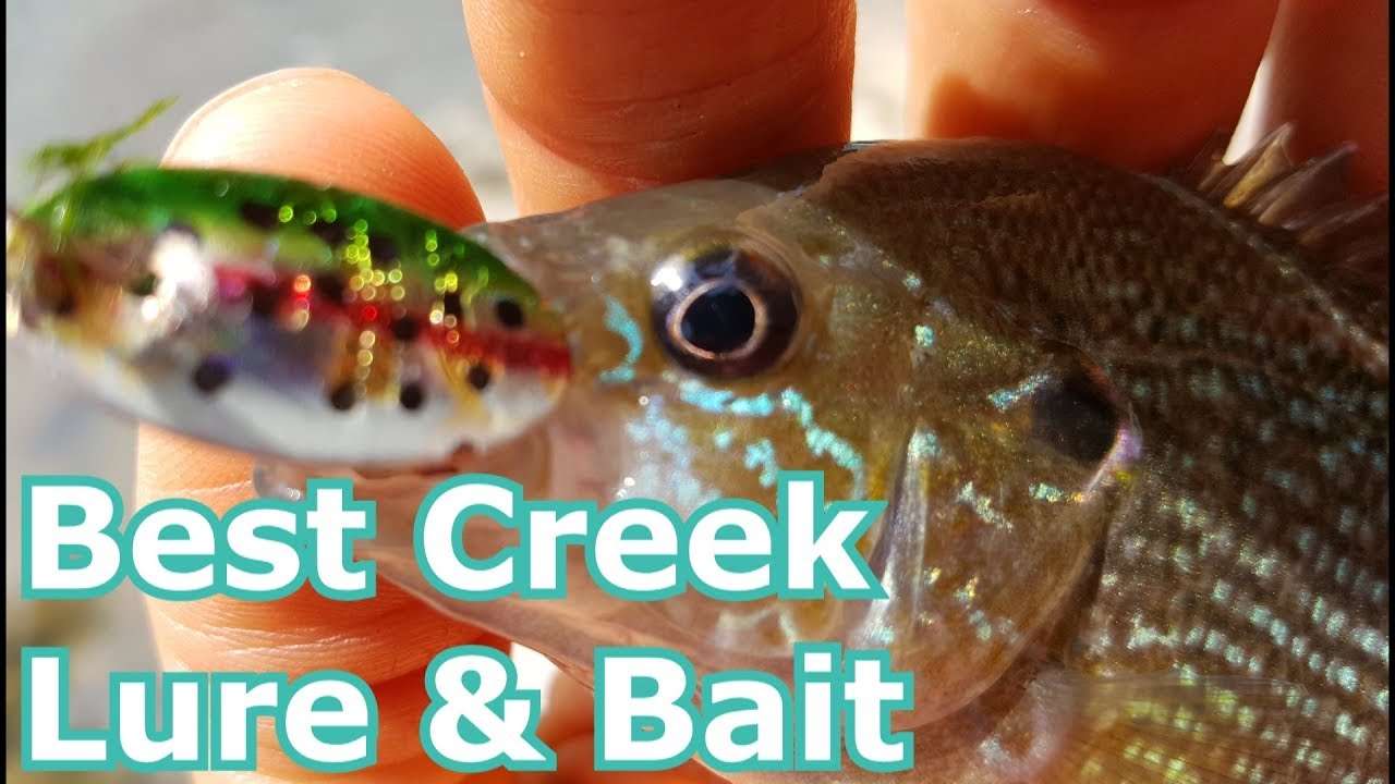 Creek and Stream Fishing with the Best Lure and Bait- Tips 