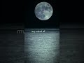 Billie Eilish Khalid Lovely Lyrics Isn T Lovely All Alone Aesthetic Billieeilish Billie Eilish Khalid Lovely Lyrics Isn T Lovely All Alone Aesthetic Billieeilish