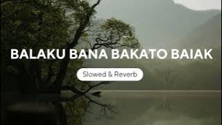 Balaku Bana Bakato Baiak (Slowed & Reverb)