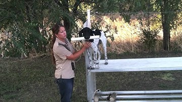 Trained Retrieve - Fetch Part 2