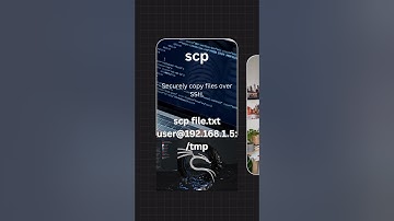 Linux scp Command (Securely Copy Files Between Servers)