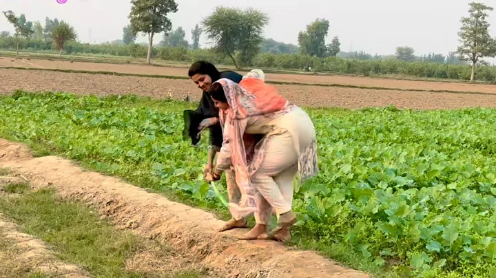 Aik Gane Ne Desi Kudiyon Ki Ladai Kara De