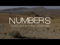 Preparing for the Battle of the Promised Land - Numbers 5-6 (10-25-23)