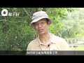 濕地公園免費導賞團　香港原生植物知多點