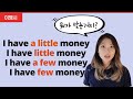 Few, a few, little, a little, 이제 실수하지 마세요! | 이영시 문법