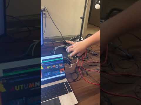 Raspberry Pi Motion sensor