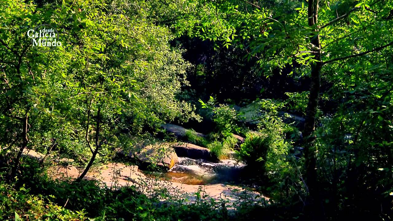 DGPM 1129 EL JARDÍN BOTÁNICO
