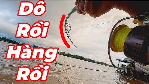 Câu Cá Vồ Đém Mùa Nước Nổi #18 || Liên Tục Đụng Hàng Và Cái Kết .