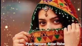 Pyar Hamara Amar Rahe Ga Yad Kare Ga Jamana❤❤ love song❤❤ Bollywood song❤❤